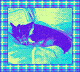 Gameboy Camera photo of a dog